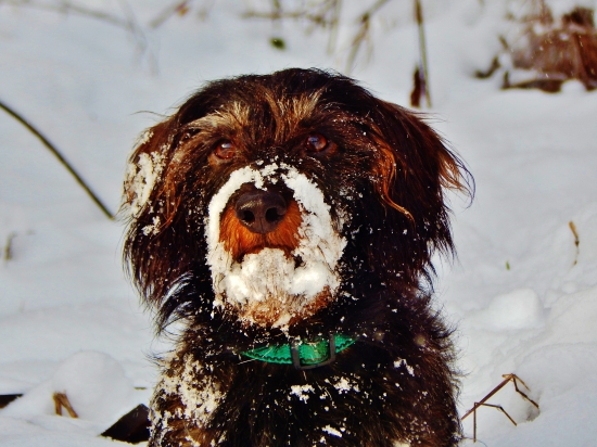 Z ranní šoulačky.