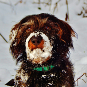 Z ranní šoulačky.