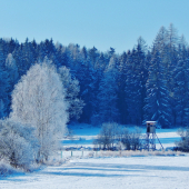 Z ranní šoulačky.