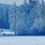 Z ranní šoulačky.