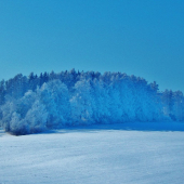Z ranní šoulačky.