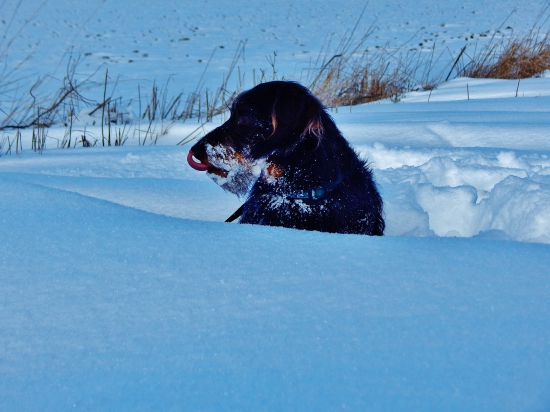 Z ranní šoulačky.