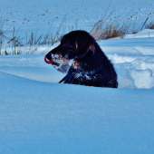 Z ranní šoulačky.