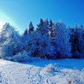 Z ranní šoulačky.