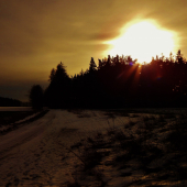 Z ranní šoulačky.