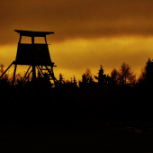 Z ranní šoulačky.