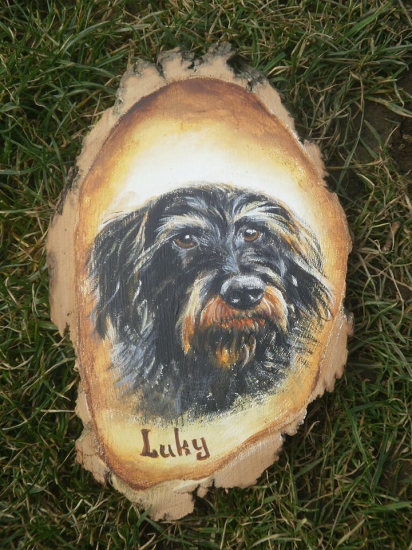 Dárek od kamarádky.