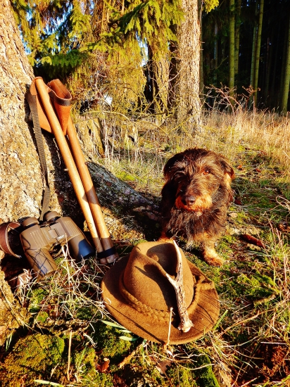 Z večerní čekané.