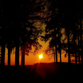 Na slukách.
