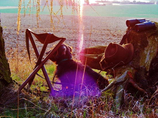 Z večerní čekané.