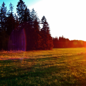 Z čekané ze židličky.