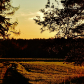 Z večerní šoulačky.