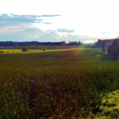 Z čekané ze židličky.