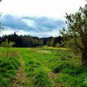 Z čekané ze židličky.