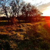 Z čekané ze židličky.