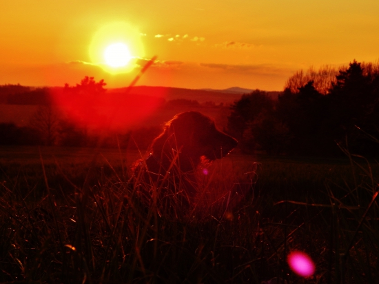 Z čekané ze židličky.