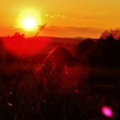 Z čekané ze židličky.