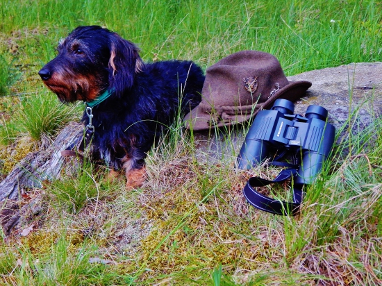 Z večerní čekané.