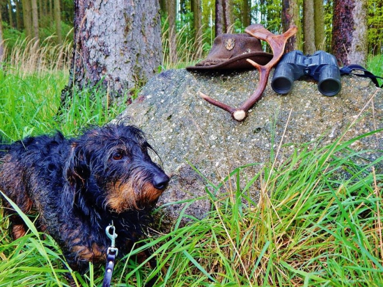 Lukyho ranní nález.