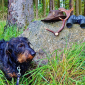 Lukyho ranní nález.