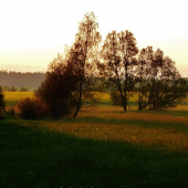 Z čekané ze židličky.