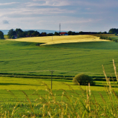 Z ranní šoulačky.