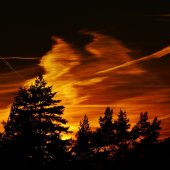 Z večerní čekané.