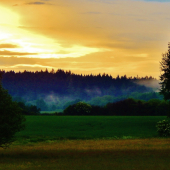 Z večerní čekané.