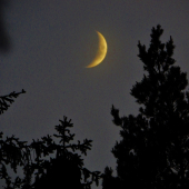 Z večerní čekané.