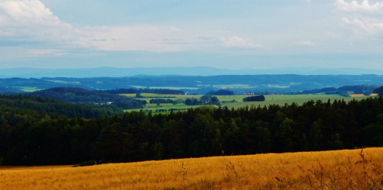 Z čekané.