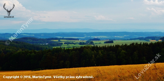 Z čekané.