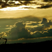 Z večerní čekané.