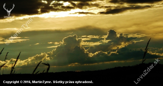 Z večerní čekané.