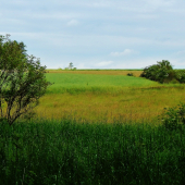 Z čekané ze židličky.