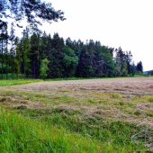 Z večerní čekané.