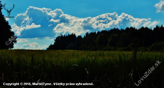 Z večerní čekané.