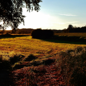 Z čekané ze židličky.