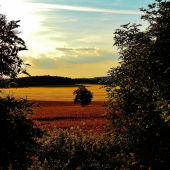 Z večerní šoulačky.