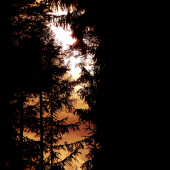 Z večerní čekané.