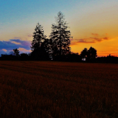 Z čekané ze židličky.