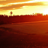 Z čekané ze židličky.