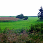 Z čekané ze židličky u řepky.