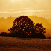 Z ranní šoulačky.