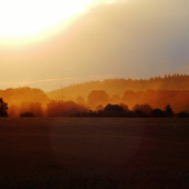 Z ranní šoulačky.