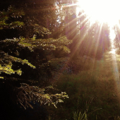 Z ranní šoulačky.