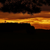 Z večerní čekané.