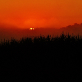 Z ranní šoulačky.