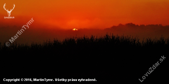 Z ranní šoulačky.