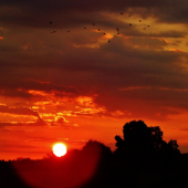 Z ranní šoulačky.