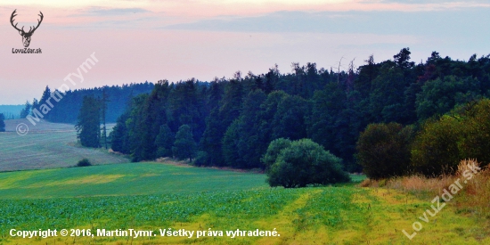 Z čekané ze židličky.